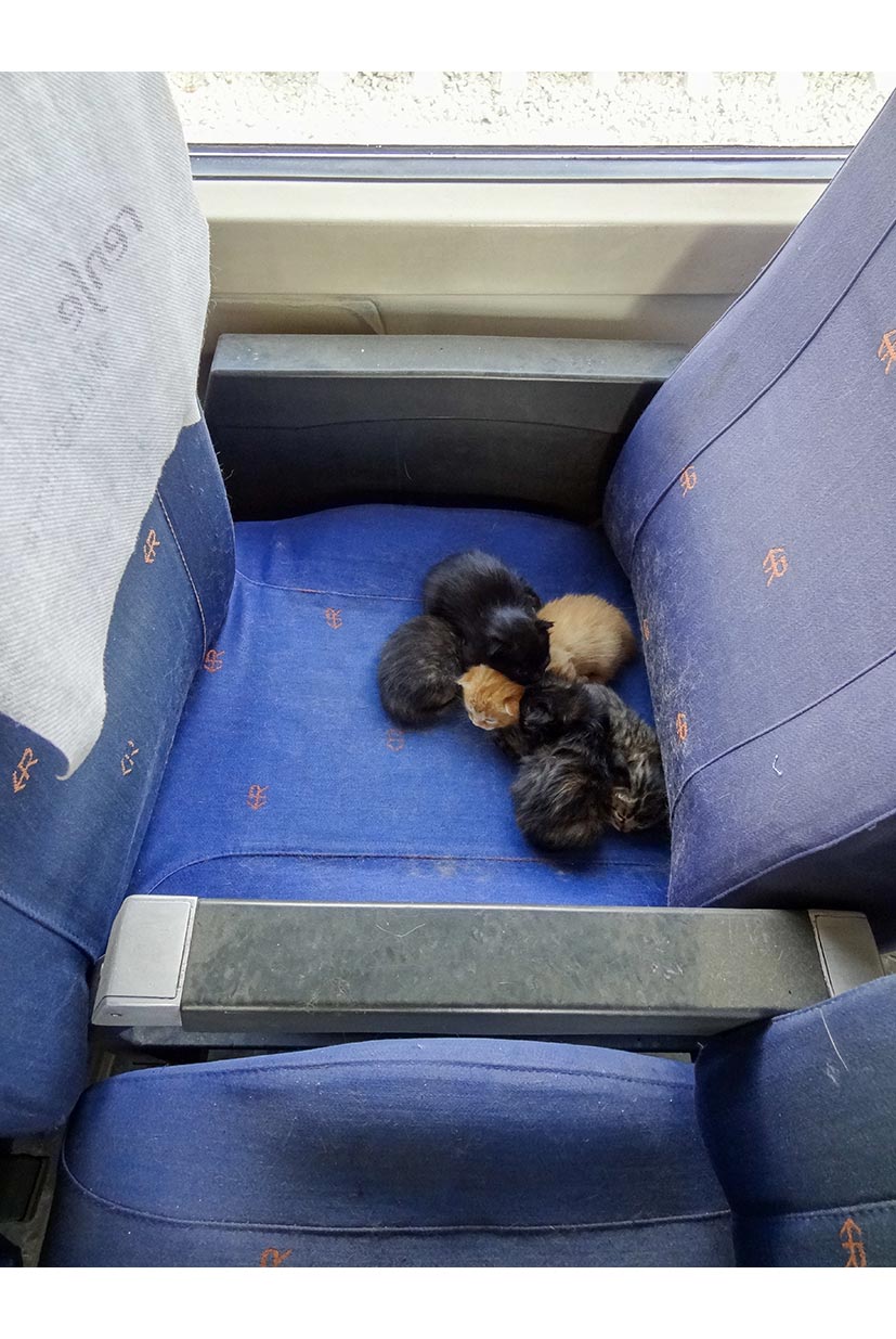 Engine Shed | Hornby Model Railways