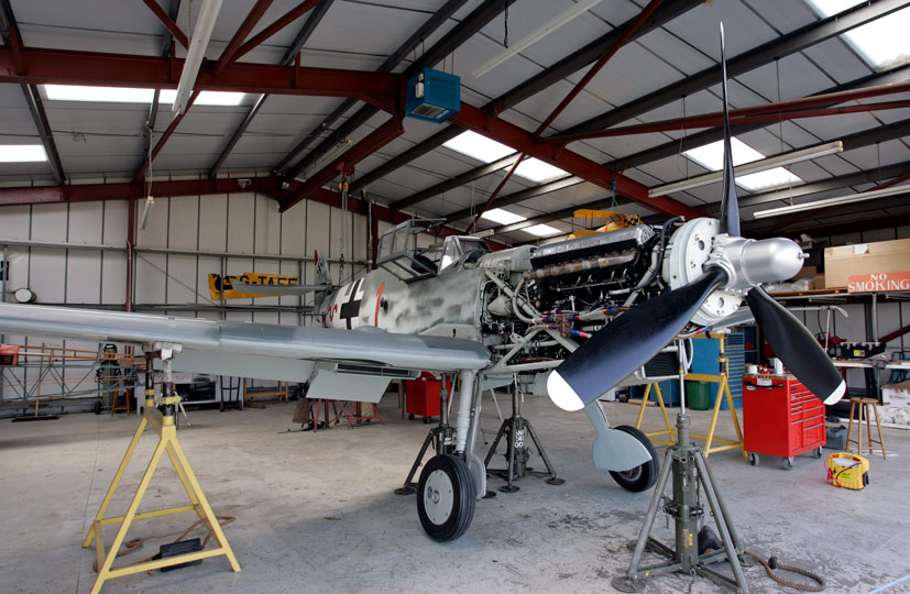 Corgi Whats on the Desk