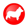 corgi icon test